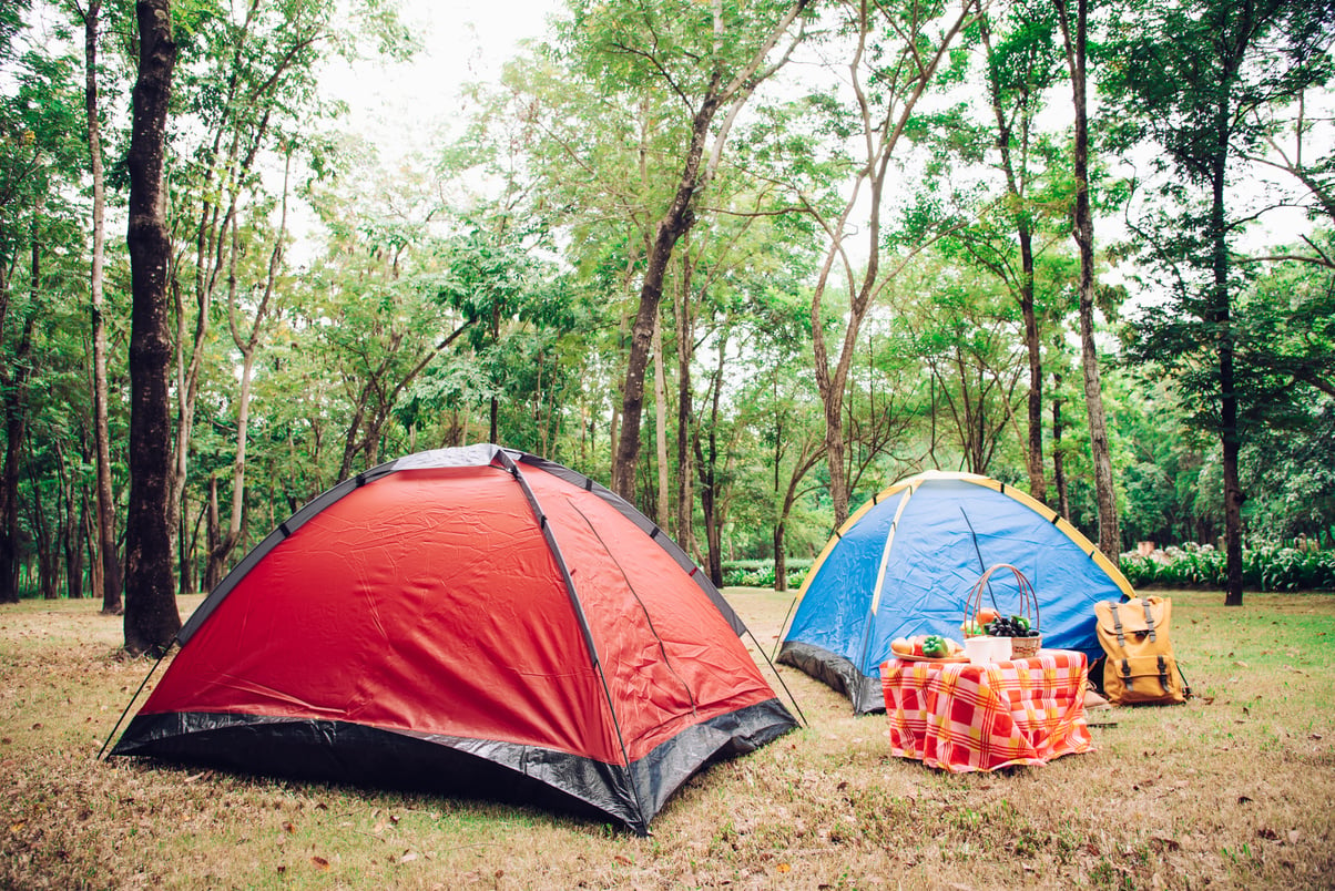 Camping Tent and Picnic Accessories under Trees