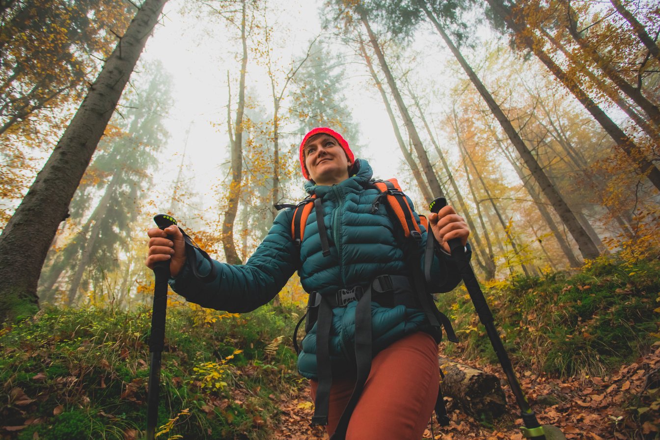 Active Woman Hiking in Beautiful Fall Forest